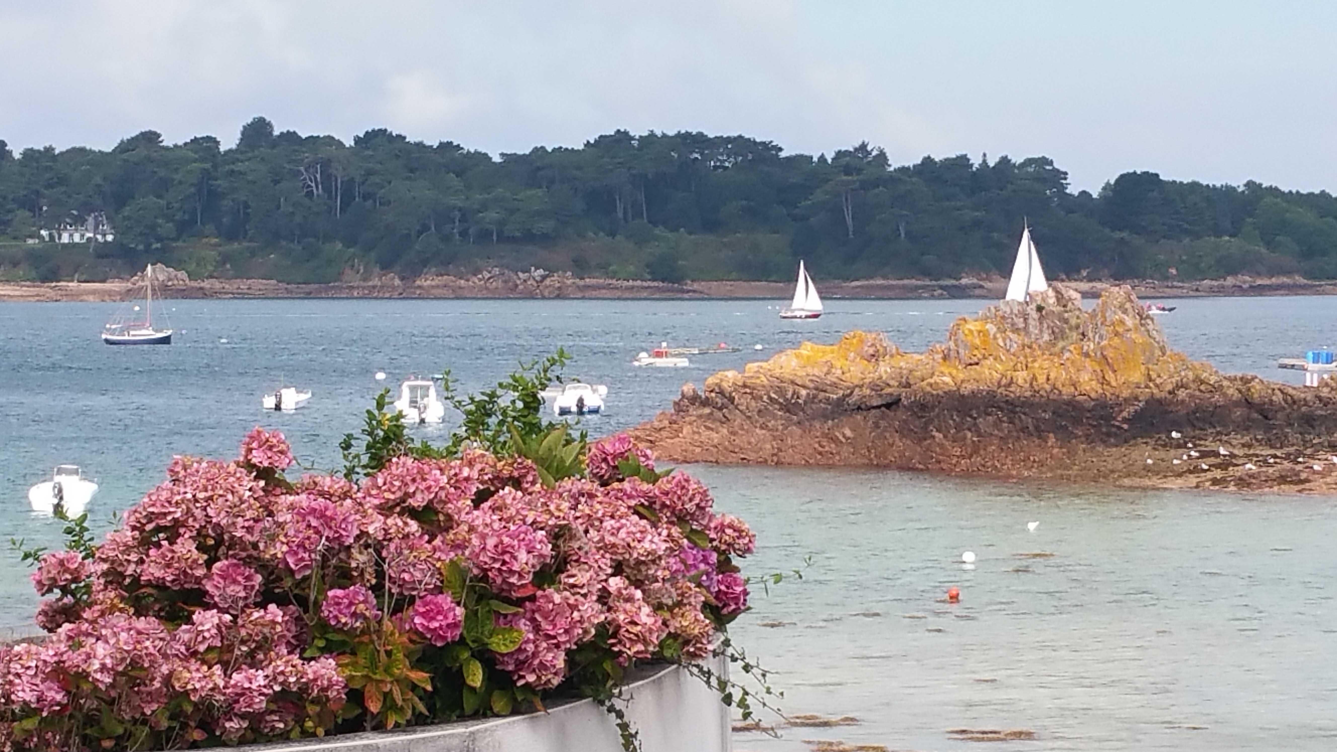 Photo n° 1 de l'avis de Jean.a fait le 26/08/2019 à 15:35