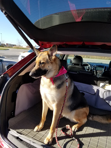 Pet Supply Store «PetSmart», reviews and photos, 815 McDermott Street, Council Bluffs, IA 51501, USA