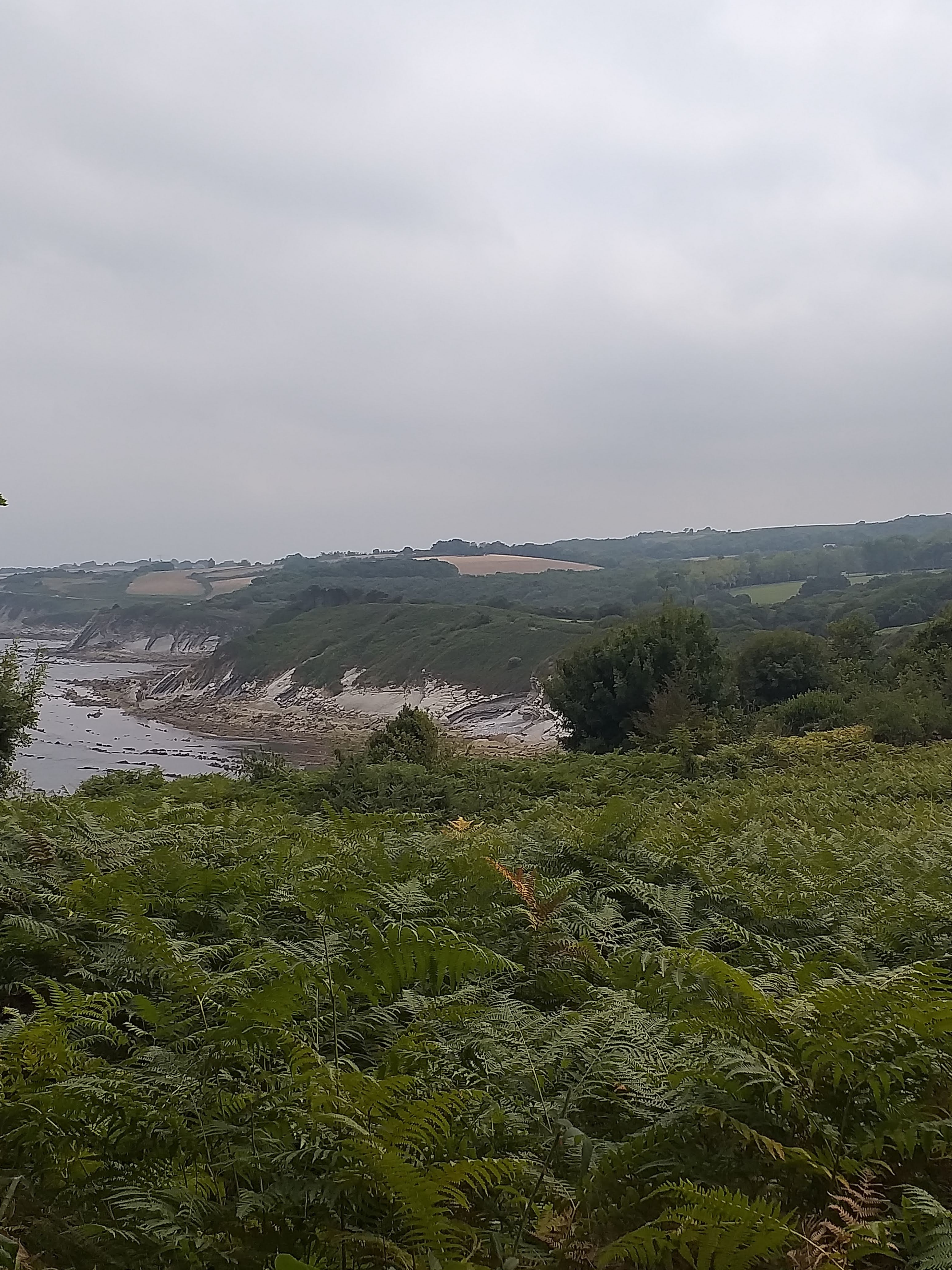 Photo n° 6 de l'avis de Isabel.e fait le 12/08/2022 à 13:40