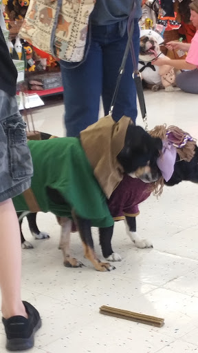 Pet Supply Store «Petco Animal Supplies», reviews and photos, 6015 Stage Rd, Bartlett, TN 38134, USA