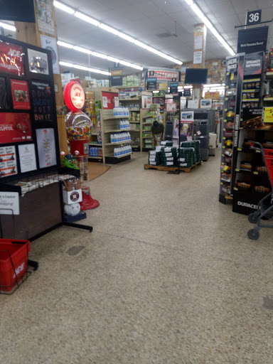 Hardware Store «Cypress Ace Hardware», reviews and photos, 11655 Jones Rd, Houston, TX 77070, USA
