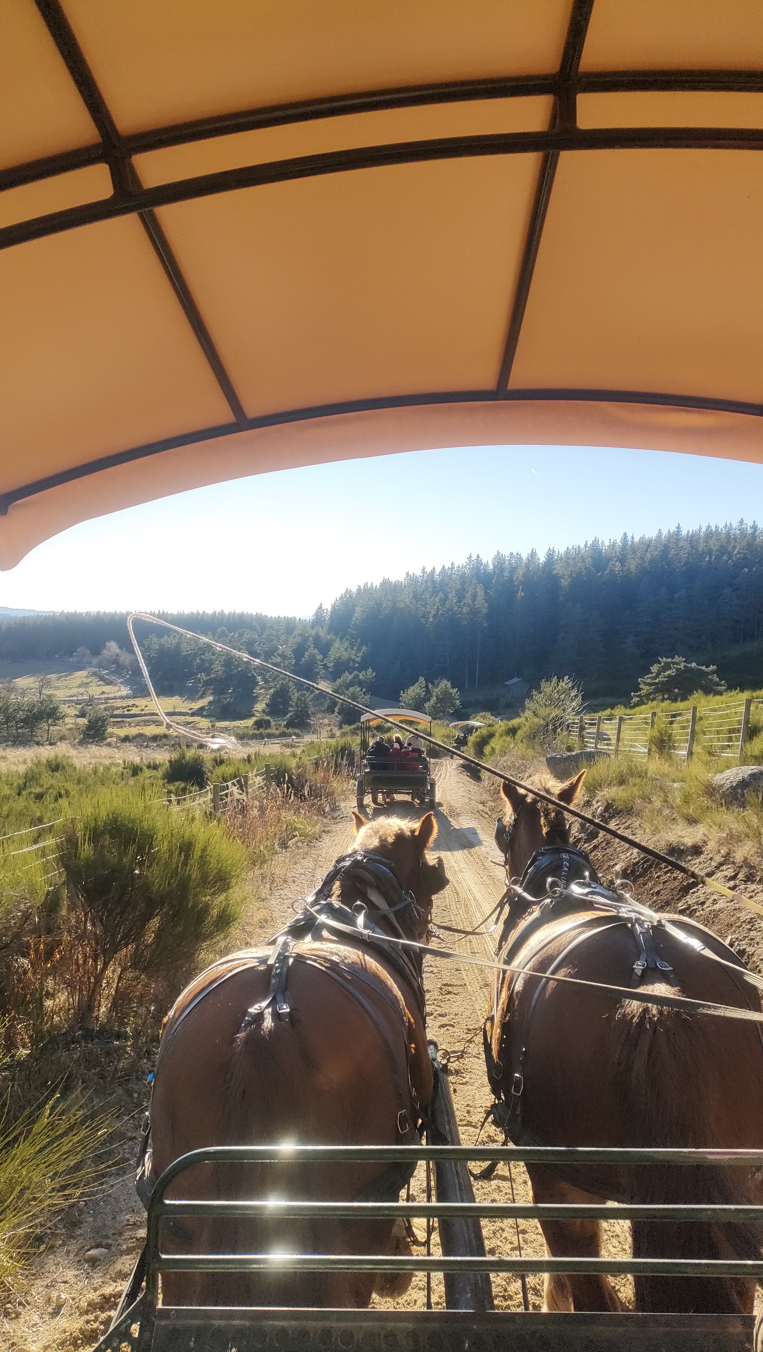 Photo n° 1 de l'avis de Cla.l fait le 27/12/2023 à 15:06