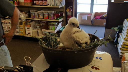 Pet Store «Liberty Agway Pet Center», reviews and photos, 11 Bon Jovi Ln, Liberty, NY 12754, USA