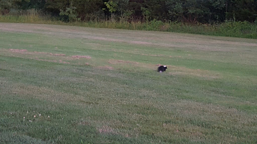 Golf Club «Persimmon Ridge Golf Club», reviews and photos, 72 Persimmon Ridge Dr, Louisville, KY 40245, USA