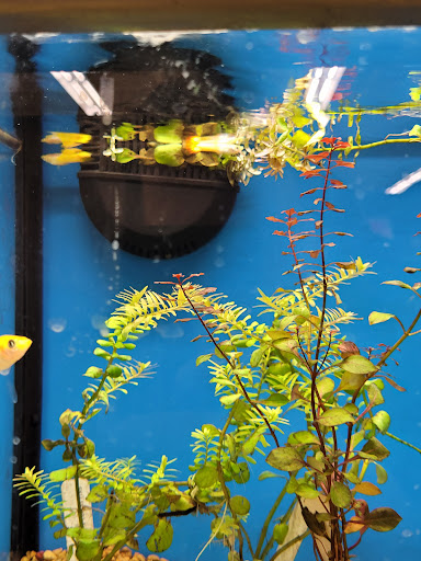 Pet Supply Store «Petco Animal Supplies», reviews and photos, 26 Coliseum Crossing, Hampton, VA 23666, USA