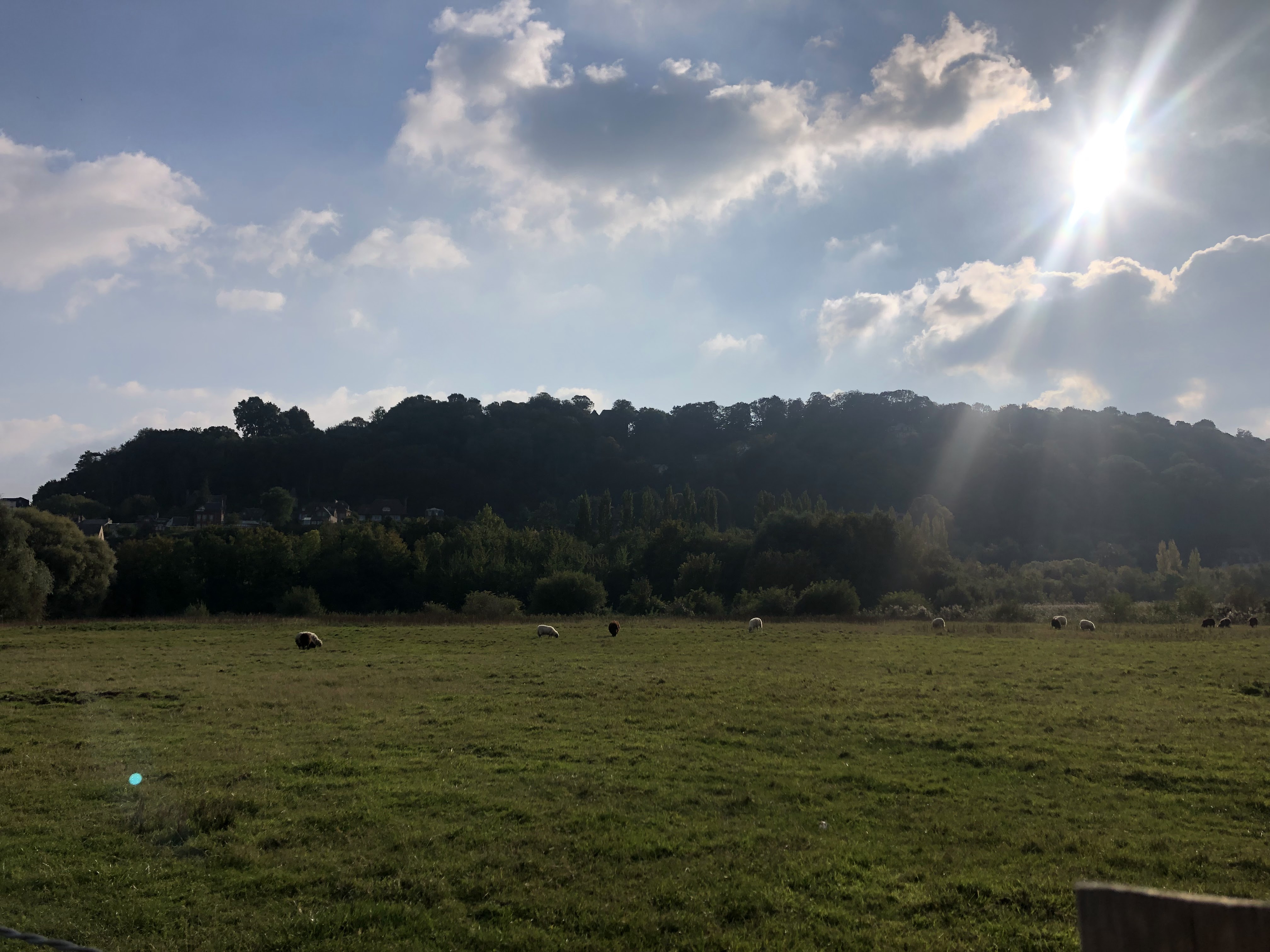 Photo n° 6 de l'avis de S. fait le 11/10/2021 à 01:46