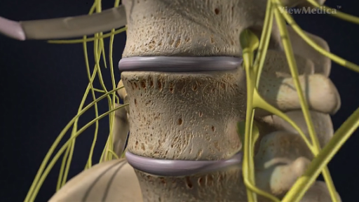 7696 Ocean Gateway, Easton, MD 21601, USA