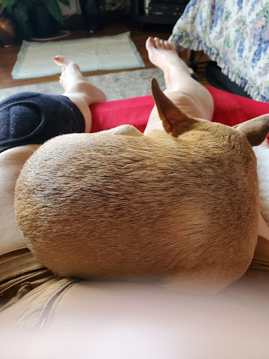 Immigration Attorney «Cella & Associates LLC - Immigration Lawyers», reviews and photos