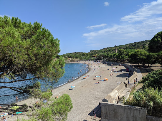 Paulilles beach