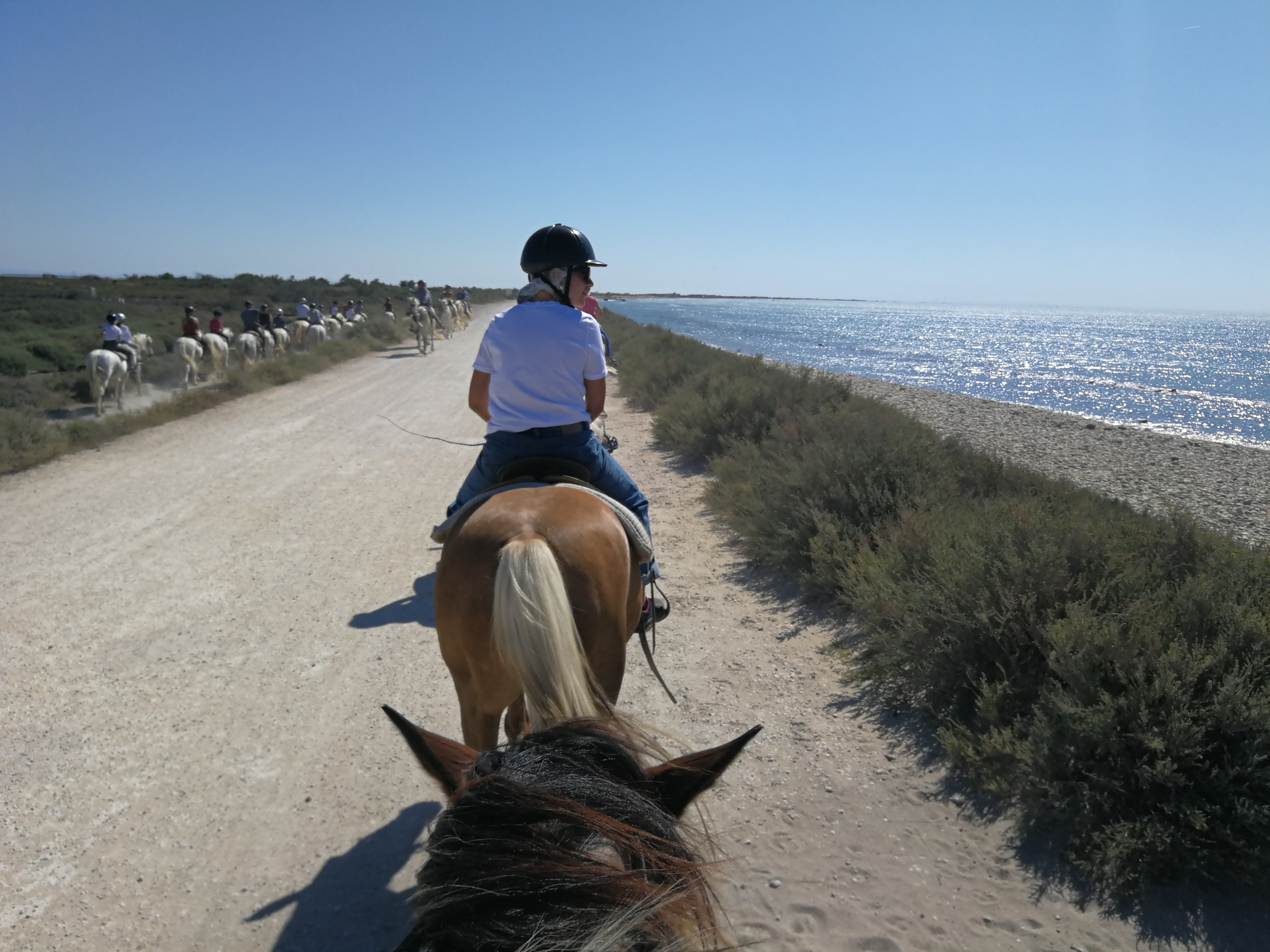 Photo n° 1 de l'avis de Giovanni.o fait le 16/07/2019 à 10:57