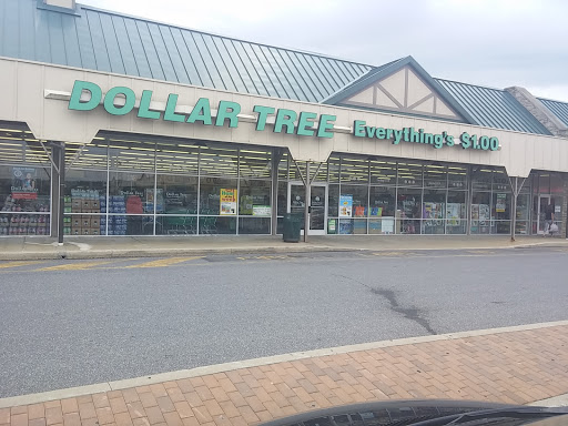 Dollar Store «Dollar Tree», reviews and photos, 332 Commons Dr, Parkesburg, PA 19365, USA