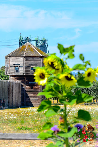 National Park «Fort Vancouver National Historic Site», reviews and photos, 612 E Reserve St, Vancouver, WA 98661, USA