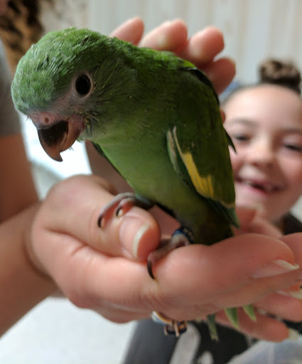 Bird Shop «BirdFarm Superstore», reviews and photos, 6360 Suncoast Parkway, Homosassa, FL 34446, USA