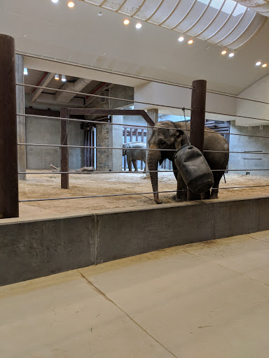 Tourist Attraction «Elephant Trails», reviews and photos, 3001 Connecticut Ave NW, Washington, DC 20008, USA