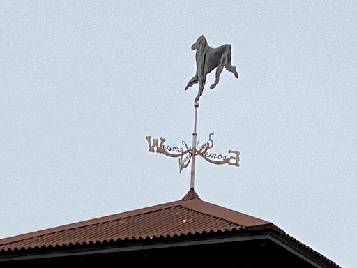 Pet Supply Store «Lemos Feed & Pet Supply», reviews and photos, 1320 Main St, Morro Bay, CA 93442, USA