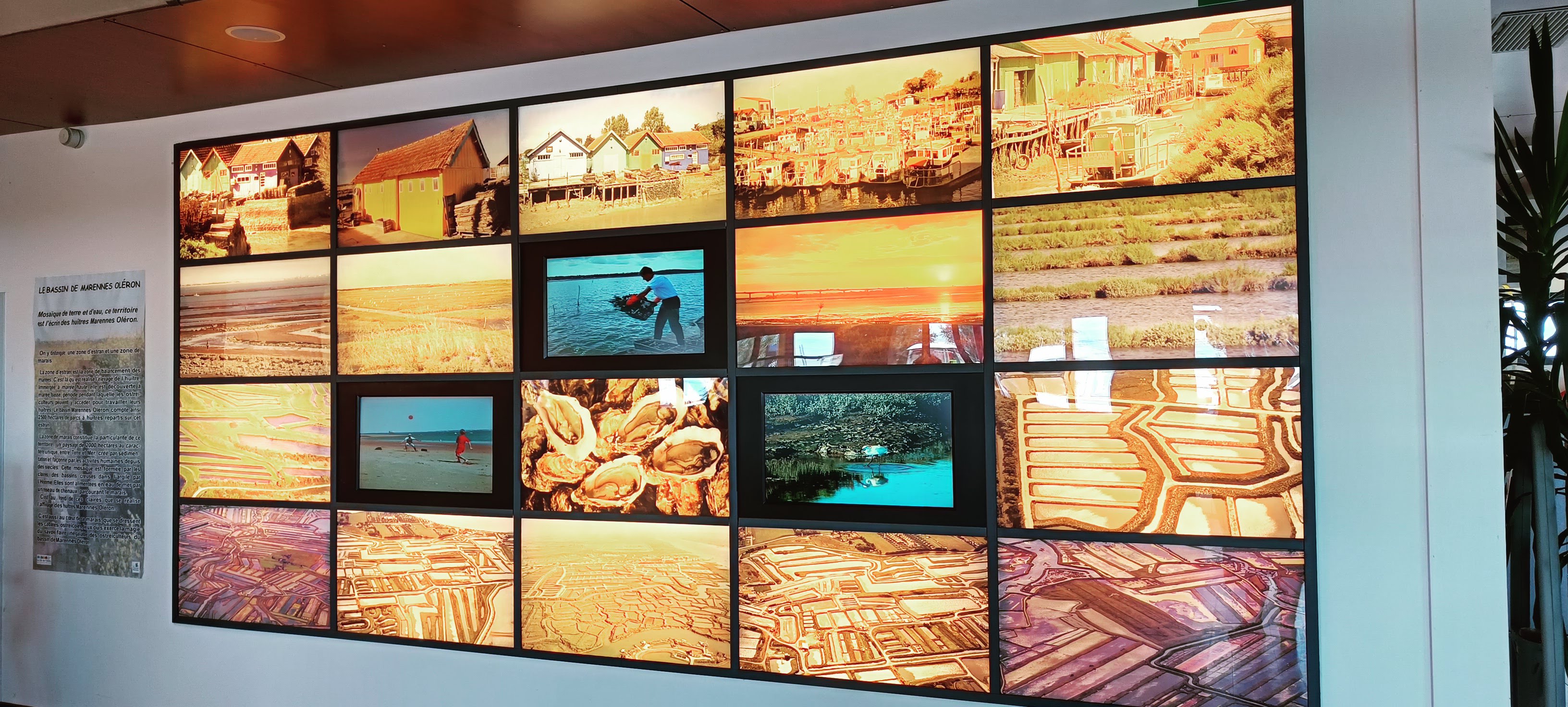 Photo n° 6 de l'avis de NEW.E fait le 26/08/2022 à 10:30