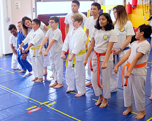 Karate For All image