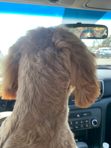 Pet Supply Store «PetSmart», reviews and photos, 4004 US-130, Delran, NJ 08075, USA