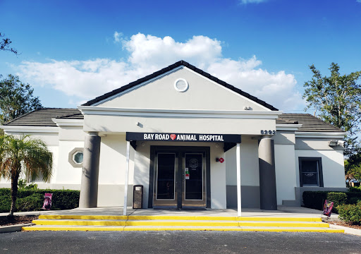 Bay Road Animal Hospital image