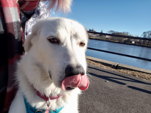 State Park «Lowell Heritage State Park», reviews and photos, 160 Pawtucket Blvd, Lowell, MA 01854, USA