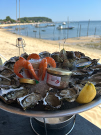 Huître du Bar-restaurant à huîtres La Dégust' du Grand Coin - Dégustation d'Huîtres à Lège-Cap-Ferret - n°8