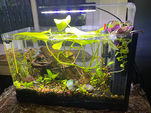 Pet Store «Olathe Pet Shop», reviews and photos, 16651 151st St, Olathe, KS 66062, USA