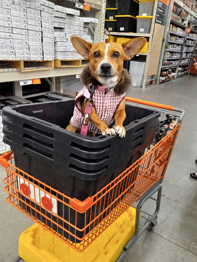 Home Improvement Store «The Home Depot», reviews and photos, 4825 Redwood Dr, Rohnert Park, CA 94928, USA