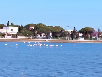 Appartement Port de Marseillan à Marseillan