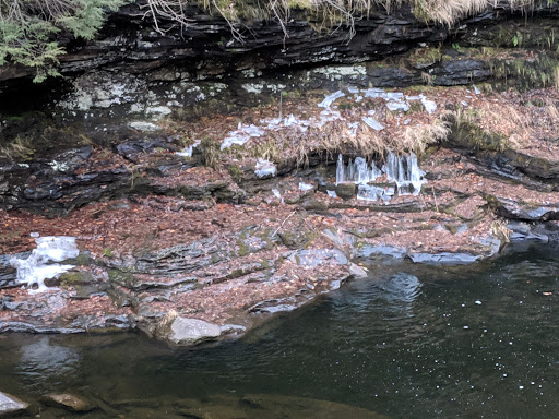 Grocery Store «Mill Market», reviews and photos, 8 Old Rte 6, Hawley, PA 18428, USA