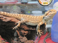 Animal City - Photo 5 - Car repair in Vernon, CT, Hartford