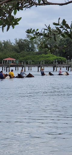 Horseback Riding Service «BeachHorses.com», reviews and photos, 8400 Manatee Ave W, Bradenton, FL 34209, USA