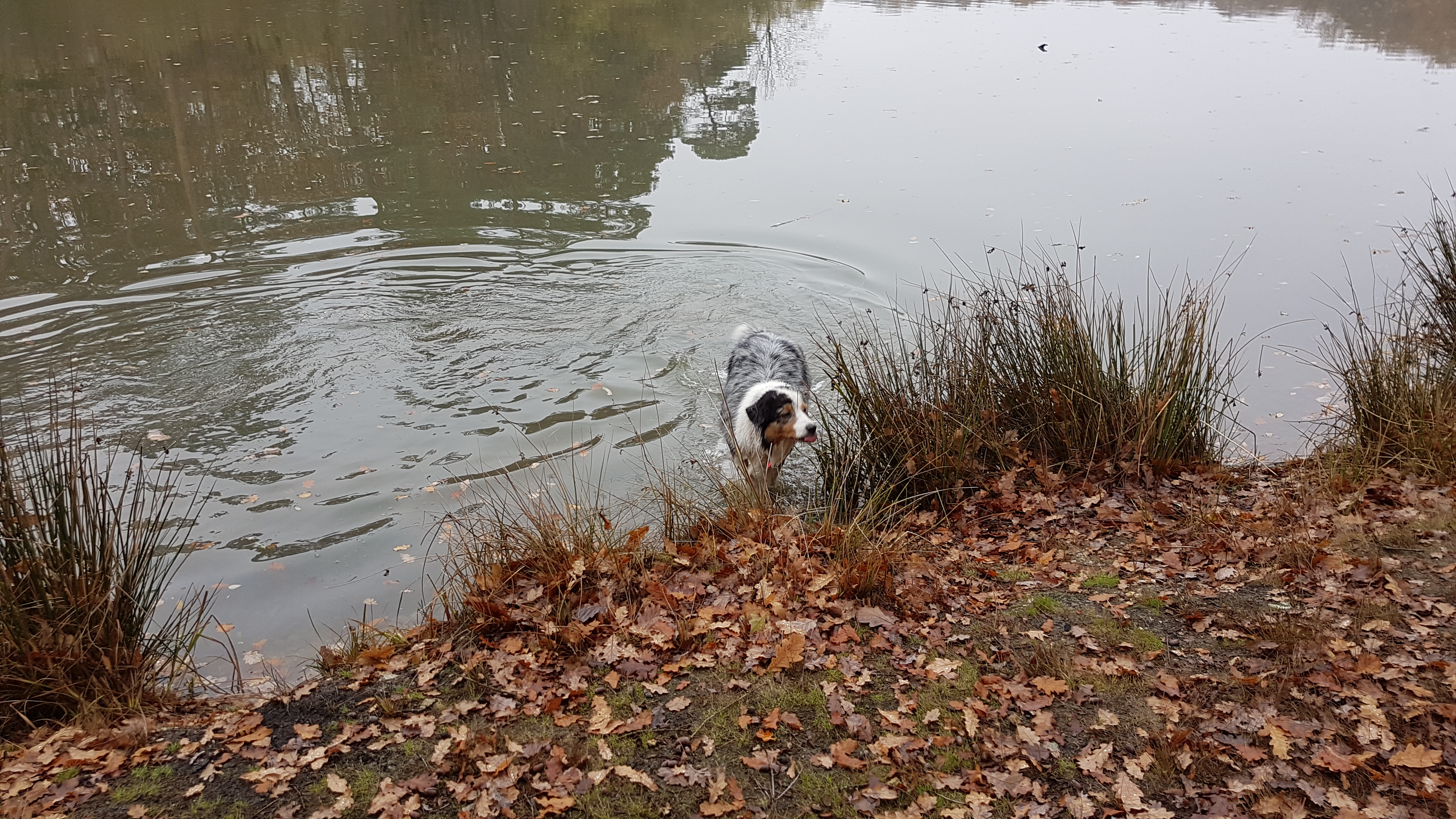 Photo n° 2 de l'avis de Elodie.h fait le 11/12/2018 à 15:15