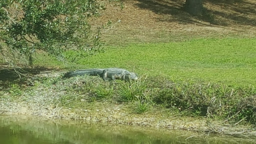 Golf Course «Sanlan Golf Course», reviews and photos, 2505 Sanlan Golf Dr, Lakeland, FL 33812, USA