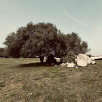 Photo n°1 de l'avis de heloise.u fait le 25/03/2024 à 12:16 sur le  São Lourenço do Barrocal à Monsaraz