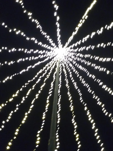 Performing Arts Theater «Emilyann Theatre», reviews and photos, 1101 Ranch Rd 2325, Wimberley, TX 78676, USA