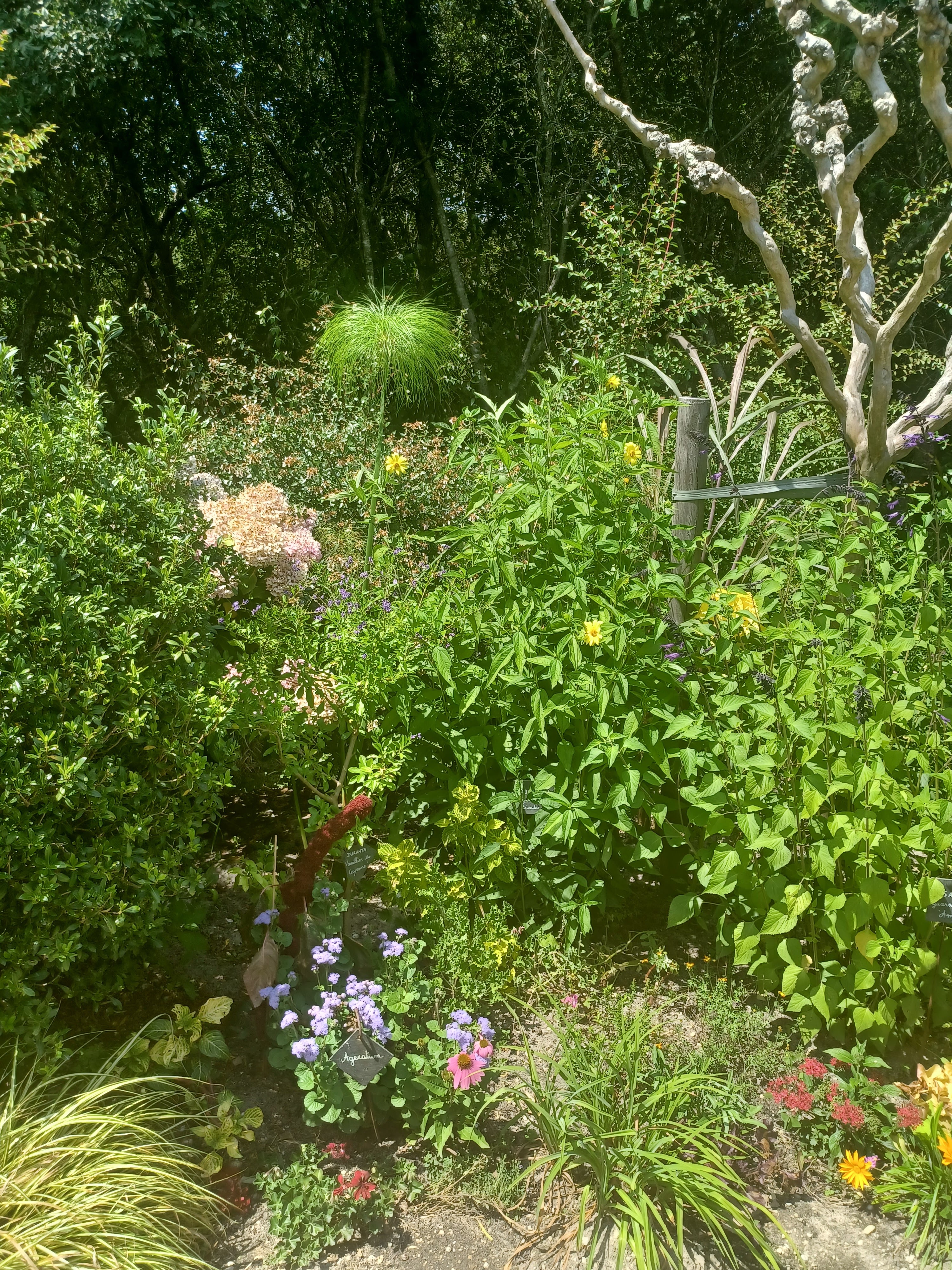 Photo n° 14 de l'avis de Denis.r fait le 18/07/2022 à 12:59