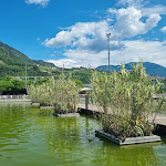 Photo n°2 de l'avis de Isabel.r fait le 17/06/2023 à 17:18 sur le  Ristorante l'Anfora à Trento