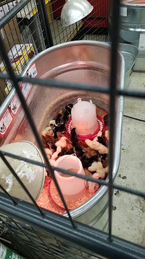 Home Improvement Store «Tractor Supply Co.», reviews and photos, 380 New Hartford Rd, Barkhamsted, CT 06063, USA