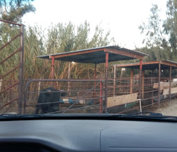 Lienzo Charro El Refugio photo