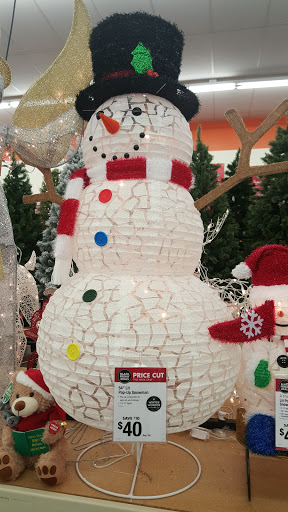 Discount Store «Big Lots», reviews and photos, 4717 McKnight Rd, Pittsburgh, PA 15237, USA