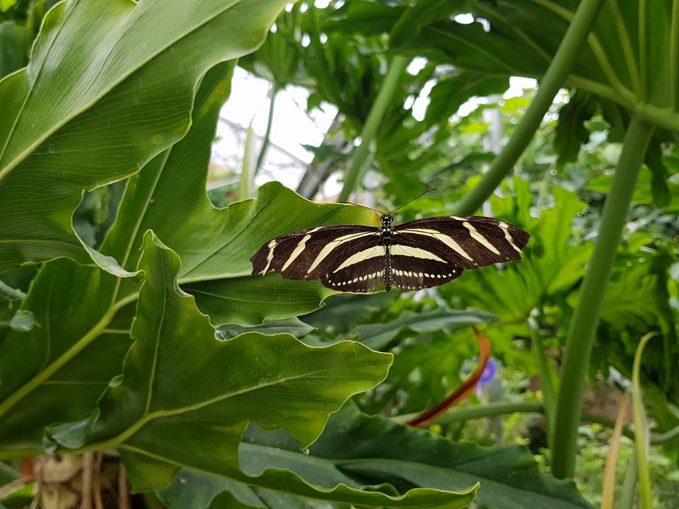Photo n° 14 de l'avis de Evelyne.i fait le 26/05/2019 à 18:32