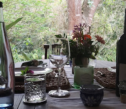 Grassroots Bed and Breakfast photo