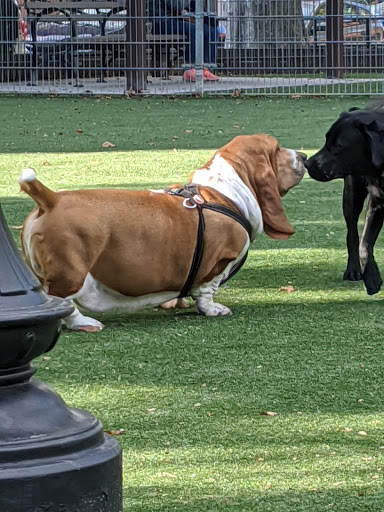 Dog Park «Church Square Park Dog Park», reviews and photos, 401-449 Willow Ave, Hoboken, NJ 07030, USA