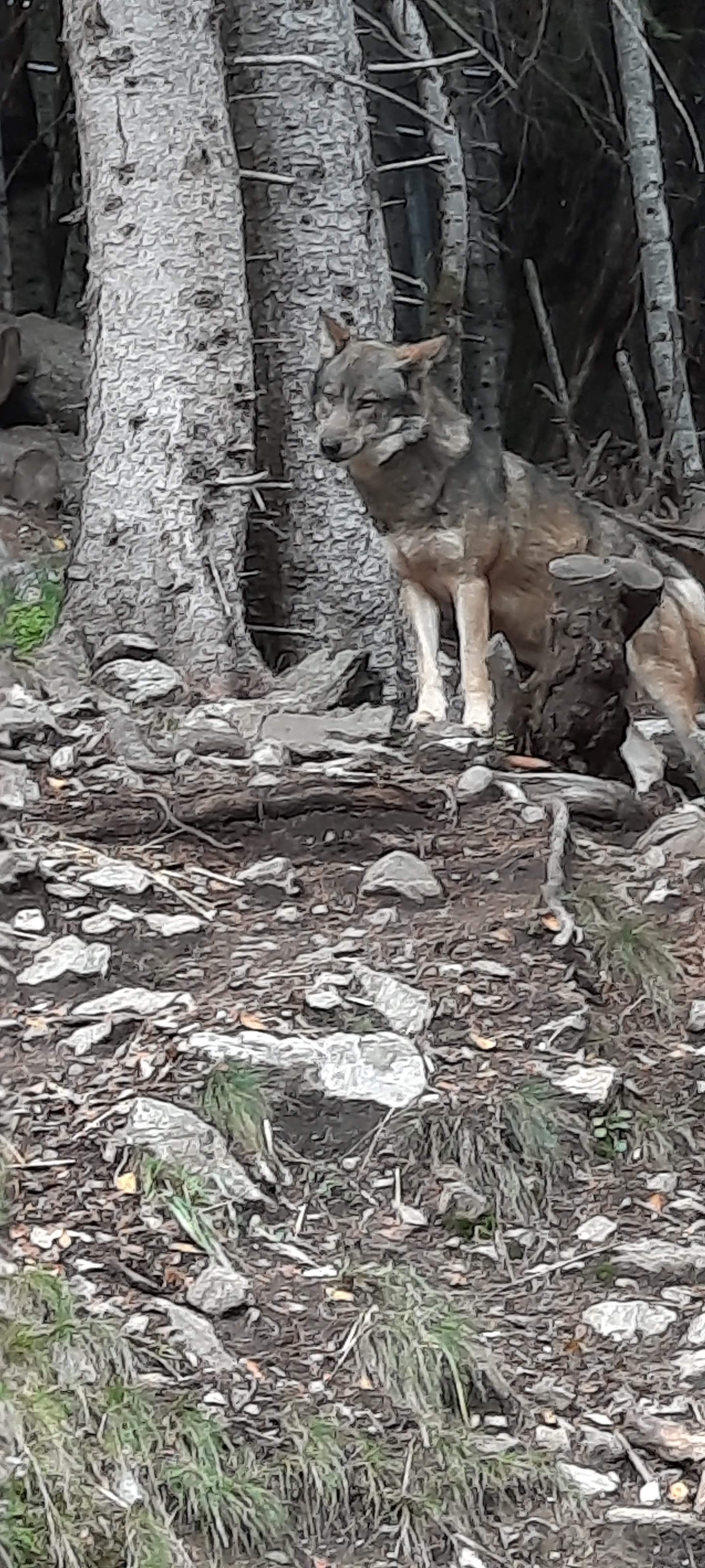 Photo n° 4 de l'avis de Mathilde.a fait le 13/11/2022 à 20:16