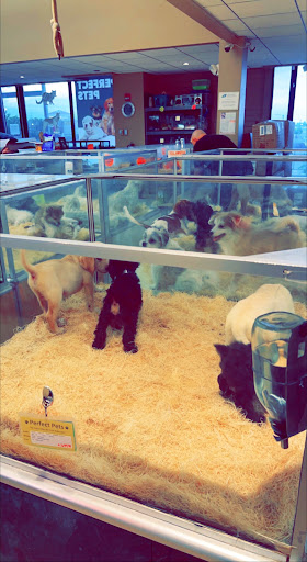 Pet Store «Perfect Pets», reviews and photos, 6840 S University Blvd #410, Centennial, CO 80122, USA