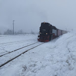 Photo n°6 de l'avis de Gerhard.r fait le 14/12/2023 à 16:53 sur le  HOTEL ALTE BRENNEREI Wernigerode à Wernigerode