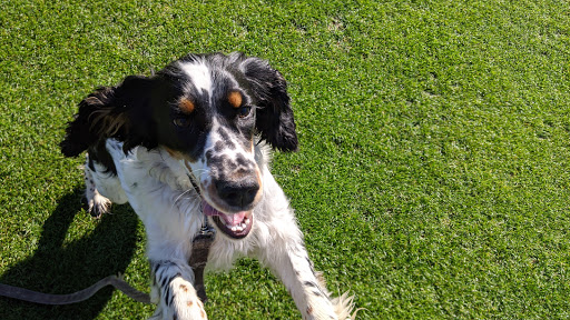 Golf Course «Potowomut Golf Club Inc», reviews and photos, 439 Ives Rd, East Greenwich, RI 02818, USA