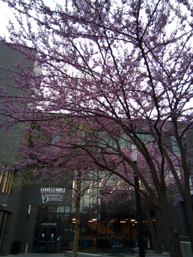Book Store «Barnes & Noble», reviews and photos, 83 E Main St, Newark, DE 19711, USA