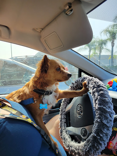 Cafe «Something Healthy Cafe (s. h. cafe) and Catering Services», reviews and photos, 1014 S Shamrock Ave, Monrovia, CA 91016, USA