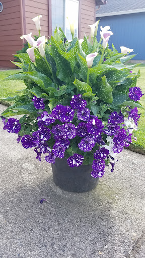 Donut Shop «Tonallis Doughnuts & Cream», reviews and photos, 12321 NE Fourth Plain Blvd, Vancouver, WA 98682, USA